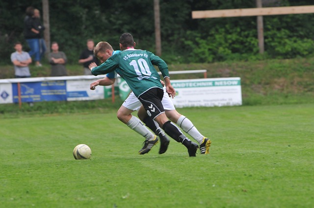 球迷的目光 球迷的目光