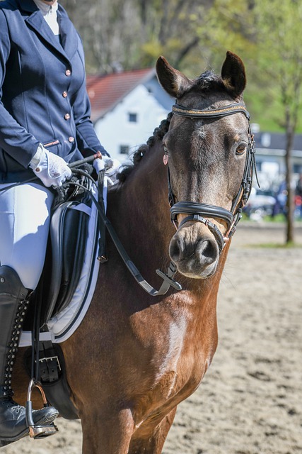 还能保留主 还能保留主