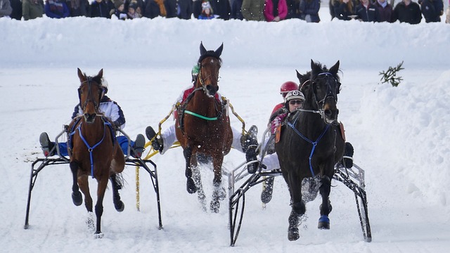 特殊考验 特殊考验