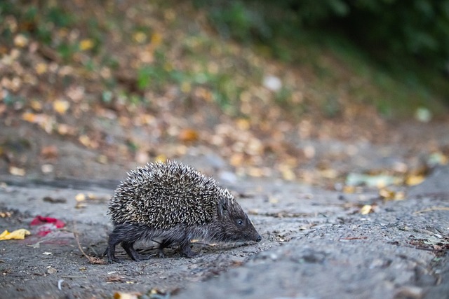 稳步崛起 稳步崛起