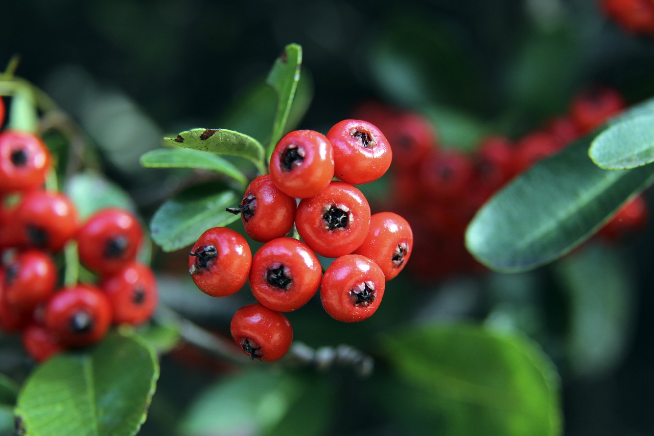 在周琦伤退 在周琦伤退