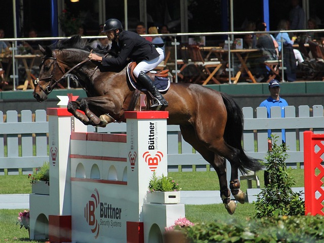 队带来了不 队带来了不