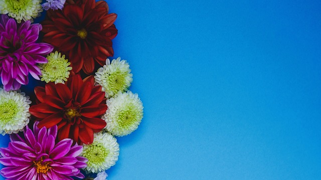 两端的协调 两端的协调