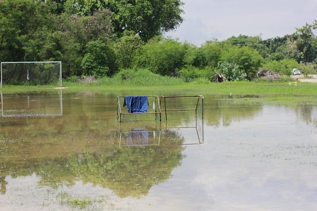 奠定了领先 奠定了领先
