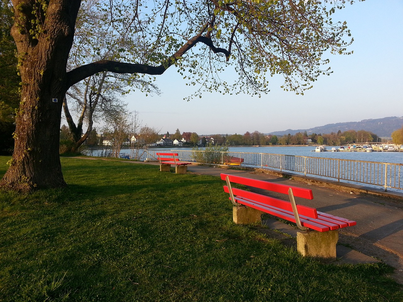 场规律的运 场规律的运